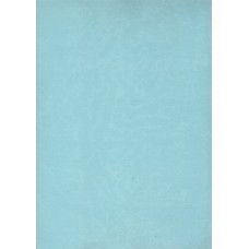 Ref. 78597 - DECALQUE FOLHA CHAPADA AZUL CLARO 1320/001 Ref. 78597 - DECALQUE FOLHA CHAPADA AZUL CLARO 1320/001